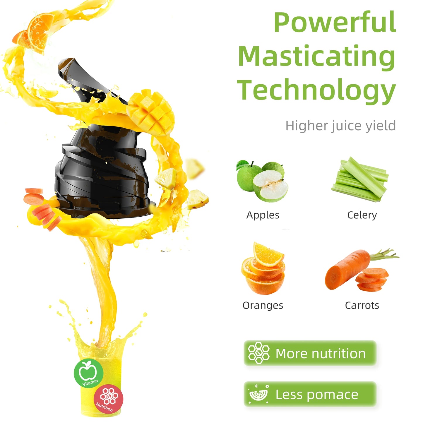 BioloMix Pro Slow Masticating Juicer